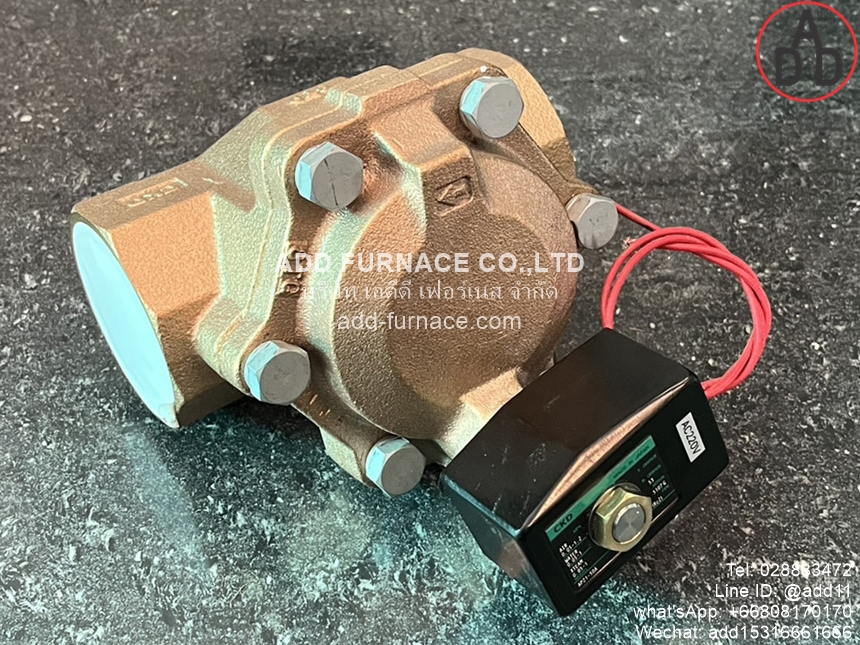 CKD AP21-50A-C4A-AC220V (8) 